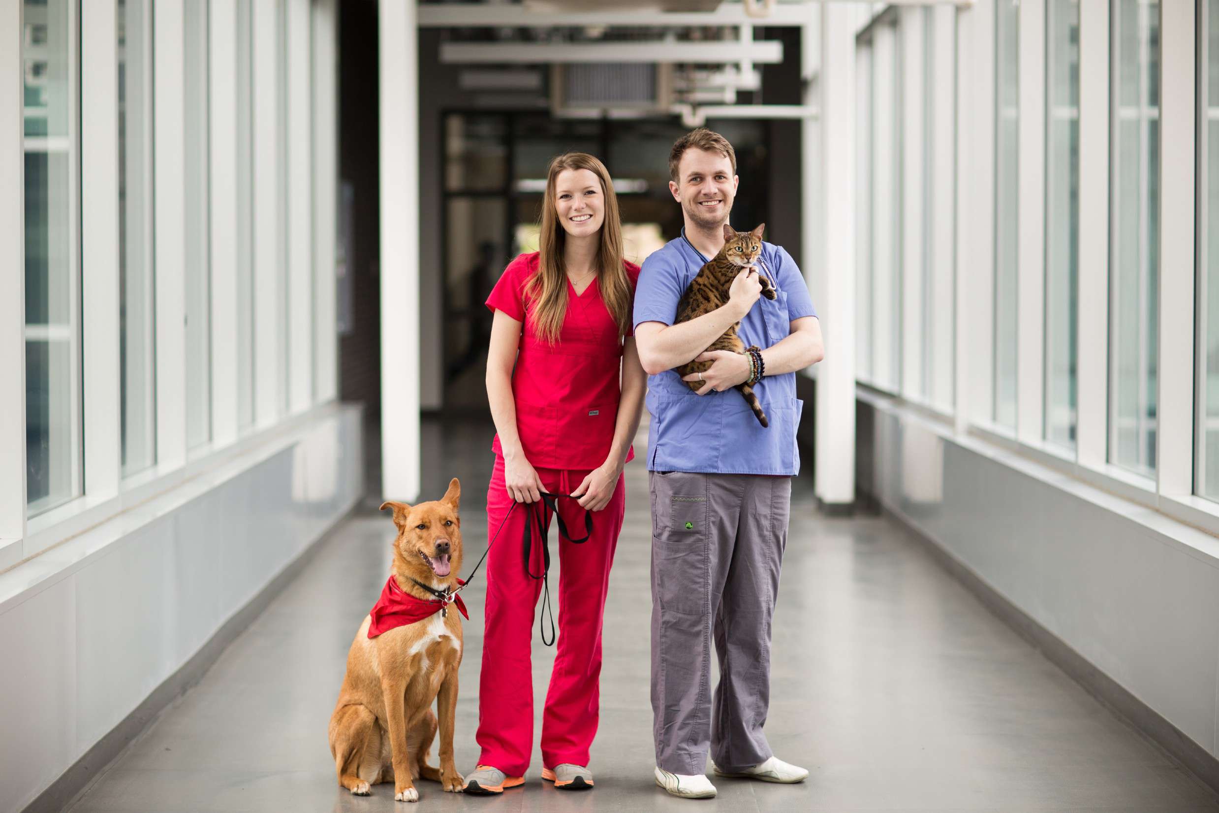 Veterinary Medical Assistant NAIT   CC 8447 060916 08012019 